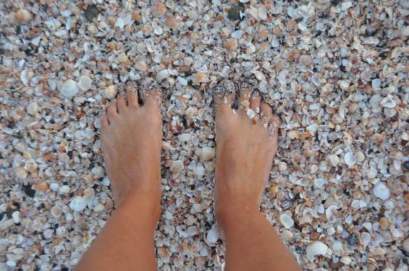 Por que será que a Shell Beach em Gustavia, tem esse nome? (St. Barth - Caribe)